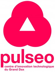 LOGO PULSEO